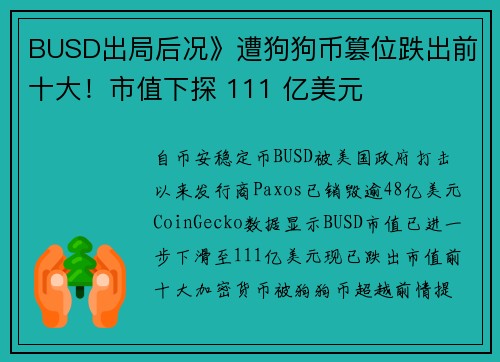 BUSD出局后况》遭狗狗币篡位跌出前十大！市值下探 111 亿美元